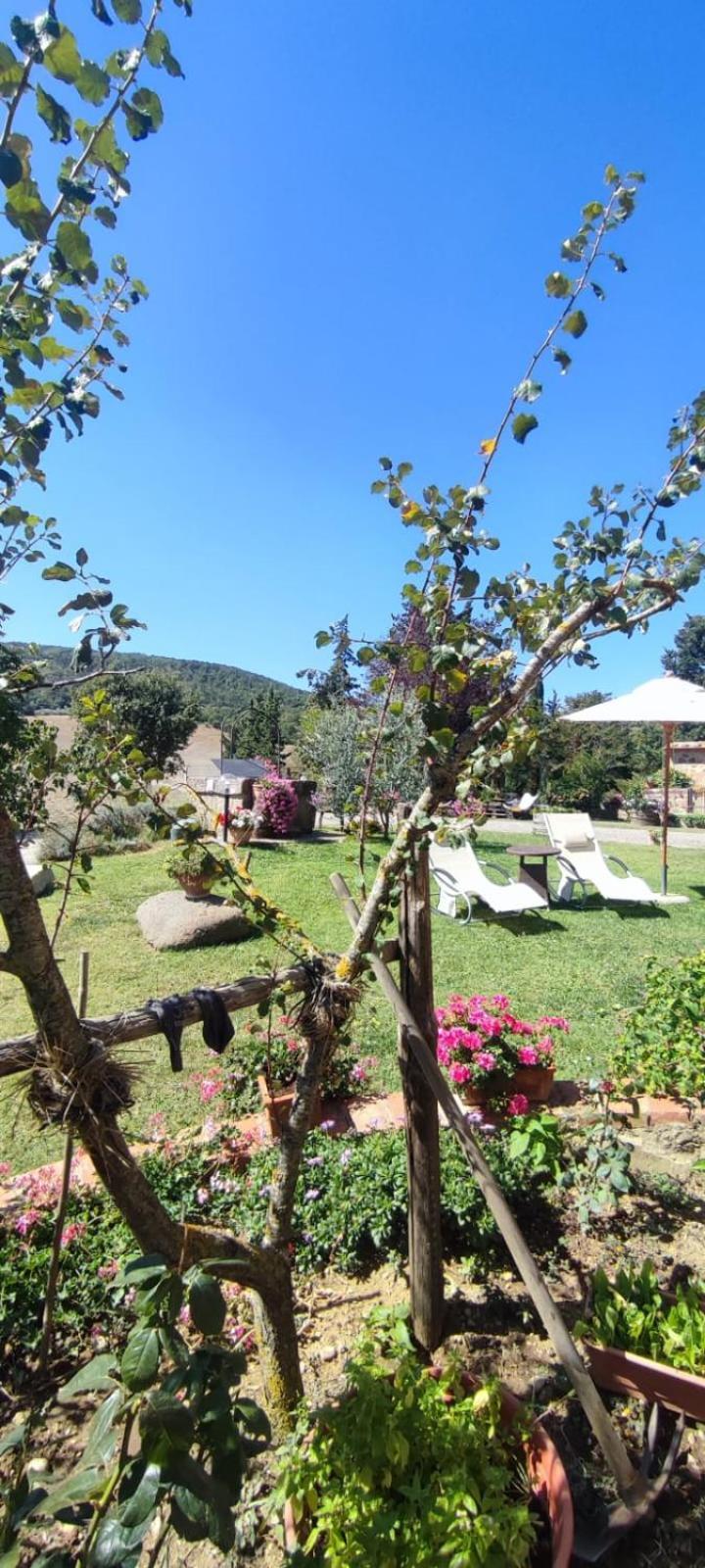 Apartment Il Pozzo *